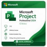 ms project 2024 professional