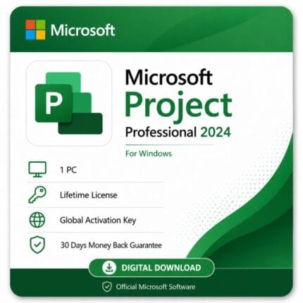 ms project 2024 professional
